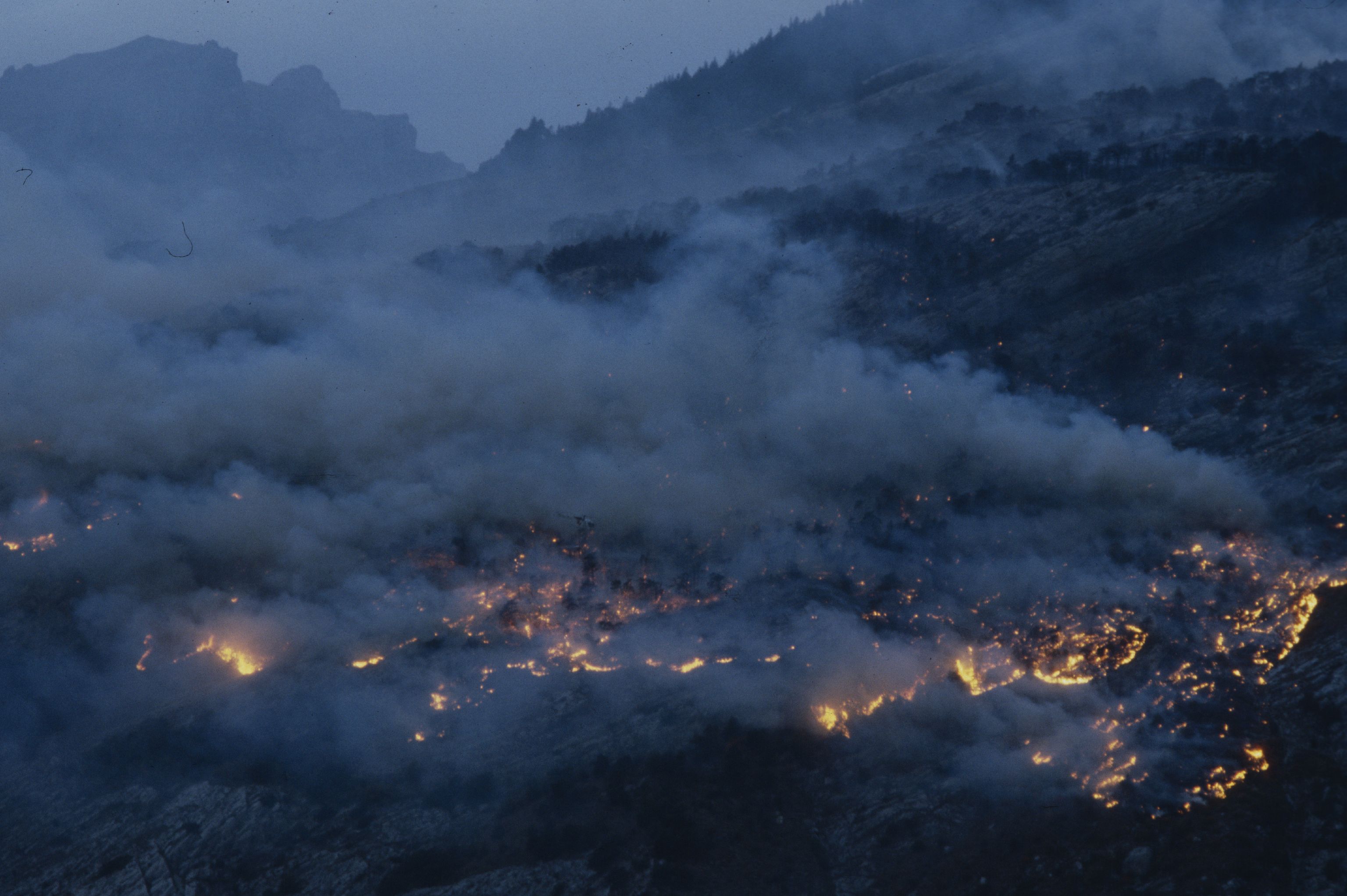 Waldbrand im Wallis auf dem Gebiet von Erschmatt und Leuk